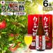 ��񂲐| �����S�| ���ސ| ���ނ��| ���| �� �� �| ���|�h�����N �_�C�G�b�g ��񂲍��| ���|�h�����N ���ލ��| 720ml*6�{�Z�b�g �������� ��z��