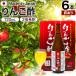 �󂠂� ��񂲐| ���ސ| ���ނ��| ���|�h�����N ��񂲍��| ���| ���ލ��| �A�E�g���b�g 720ml*6�{�Z�b�g �ܖ�����2027�N2���ȍ~ �������� ��z��