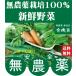 無農薬野菜詰め合わせ 旬の無農薬100％野菜セット　３０００円