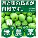  нет пестициды синий слива M размер [ примерно 30 мм из 33 мм ]1kg внутренний производство 100% Nara префектура производство * три слоя префектура производство иметь машина JAS[ нет пестициды * без добавок ] сливовое вино для [...]
