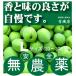  нет пестициды синий слива L размер [ примерно 33 мм из 37 мм ]1kg внутренний производство 100% 6 месяц средний . примерно отправка Nara префектура производство * три слоя префектура производство иметь машина JAS[ нет пестициды * без добавок ] сливовое вино для [...]