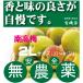  нет пестициды юг высота слива 2L размер [ примерно 37 мм ~41 мм ]1kg внутренний производство 100% 6 месяц последняя декада отправка предположительно Nara префектура производство * три слоя префектура производство иметь машина JAS[ нет пестициды * без добавок ][...]