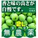  нет пестициды синий слива 2L размер 1kg внутренний производство 100% [ погода не последовательность. влияние . царапина. есть также бывает ] Nara префектура производство * три слоя префектура производство иметь машина JAS[ нет пестициды * без добавок ] сливовое вино для [...]