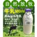 .. fragrance. strong nature .. milk 900 ml Hokkaido Asahikawa production low temperature sterilization milk nature .. no addition less adjustment glass fedo milk animal well 