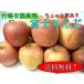 竹嶋有機農園のふじりんご(中玉)約10kg 化学農薬不使用　訳あり【12月から5月ころ】