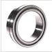 SL014920-A-C5 INA/Schaeffler Technologies 100 x 140 x 40 mm Cyl롣֥...