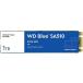 WD Blue SA510 1TB M.2 2280 SATA Internal SSD WDS100T3B0B