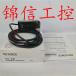 1PC Neu Keyence GV-21P