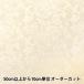 ڿ5  إƥ󥸥㥬   SJ2407BB-08 ڥ楶꾦ʡ