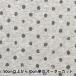 ڿ5  ΢ӥ˥å ̾ 졼ߥ졼ɥå 141-2338-A4