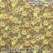 [ Liberty ткань s распродажа ] [ количество 5 из ] ткань [LIBERTY neon цвет tana заем Arky - neon DC32680-J23B] Liberty Japan 