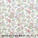 ڿ5  إХƥե֥å ʥ ʥ󥷡㡼 ԥ DC30715-J24A ڥ楶䥪ꥸʥ