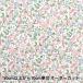 ڿ5  إХƥե֥å ʥ ץ󥰥 1224121-J24A Liberty Japan Хƥѥ