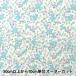 ڿ5  إ㡼ƥ ̩ CC823066-1 YUWA ͭؾŹ ޥ󥳥쥯