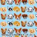 ڿ5  إå BOUFFANTS&BROKEN HEARTS MULTIDOG S BBH-2K