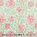 �y����5����z ���n �wMODA BEST OF MORRIS �V�[�`���O �n�j�[�T�b�N ���b�h 8362-63�x