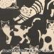ڿ5  echino () NekoNoe CAT CAT 㥭Х 㥳륰졼 EYX-91000-101B KOKKA å