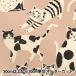 ڿ5  echino () NekoNoe CAT CAT 㥭Х ԥ󥯥١ EYX-91000-101C KOKKA å