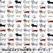 ڿ5  إ ͥ  ACS1101-B COTTON KOBAYASHI åȥ󤳤Ф䤷 
