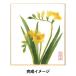 chi... kit [ nature ..... Mini square fancy cardboard set freesia ]