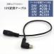 Сȥ б 24V AC09-1 AC08-1 AC370 AC310 ڥ IC101S б Type-C Ѵ֥ ХХåƥ꡼ Ѵץ ե Ĵ 12V-C