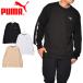 �v�[�} T�V���c �����Y ���f�B�J�� �����O�X���[�u TEE PUMA 846081 ����T ���� �u���b�N �� �z���C�g �� �x�[�W�� �g�b�v�X