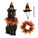  шляпа + шарф Halloween преображение собака для кошка Chan шляпа ошейник для кошки палантин аксессуары Рождество для домашних животных шляпа костюмированная игра товары для домашних животных симпатичный прогулка собака кошка для шляпа 