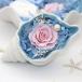�X�[�p�[�Z�[��300�~OFF �\�[�v�t�����[ �L�k�^�u�� ���� �o�� �Ԍ͂�Ȃ��� �u�� ���̓� �h�V�̓� �v���[���g ���蕨 �o�����^�C���f�[ �֘A�摜1