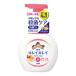(ライオン)キレイキレイ 薬用泡ハンドソープ フルーツミックスの香り ポンプ 250mL