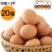 財寶温泉生卵 20個 (10個 2パック) 鹿児島県産 鶏卵 たまご 玉子 濃厚 卵黄