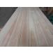 1-963 �y�󂠂蒴�ڋʕi�����z ���Y�V�R���C �O�Ђ̂��w�q�m�L�t���[�����O ���ߏ㏬ ����