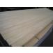 2-209�y���ڋʕi�E�󂠂�AB�i�z����3m ���Y���C �O �Ђ̂��w �H�ڔ� �{���ړ� �Ǎ� �V��� DIY���t�H�[���l�C