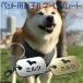 迷子札 軽量 プレート 電話番号 小型犬 猫 名前 アクリル製 シルバー ゴールド オーバル
