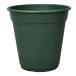  pra горшок ro там pot 240 type зеленый 24×23.5cm[ Apple одежда - длина горшок пластик горшок 4905980144040]