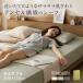 B-Sensible �{�b�N�X�V�[�c �Z�~�_�u���x�b�h�T�C�Y 200�~120cm(�h���V�[�c �Z�~�_�u�� �{�b�N�X ���˂��� ���˂���V�[�c)