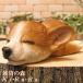  украшение животное симпатичный собака. украшение well shu Corgi .... собака настоящий .. собака. произведение искусства садоводство двор 