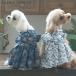 �� �� ���� �y�b�g�� �h�b�O�E�F�A ���̕�  �����s�[�X | Laura Ashley ���[���A�V�����C ���{�������s�[�X 25s