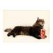 ART UNLIMITED кошка. открытка ( кошка × Cola ) поздравительная открытка 
