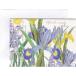 Michel Design Works складывающийся пополам поздравительная открытка (Hyacinth Iris)
