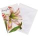 Michel Design Works складывающийся пополам поздравительная открытка Amaryllis ( амариллис )