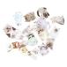 �t���[�N�V�[�� �Z�b�g �X�N���b�v�f�� �L�����V���[�Y �i���l�R�j PET�f��40��set