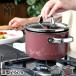 WMF �t���[�W�����e�b�N �~�l���� �n�C�L���Z���[�� 16cm ����� ������ 1�`2�l�p ���F�[�G���G�t IH�Ή� ���� �v���`�i��
