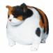 �y�ʂ�����݁z�ӂƂ�����ZOO�ɂ�񂱎O�єL /�˂��G��