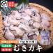 広島産 むきカキ 大粒2Lサイズ30粒前後 （約1kg） かき　牡蠣　国産