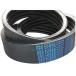 DD PowerDrive BK130/12 Banded V-BELT VBELTإӡǥ塼ƥߥå