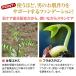 ���t�@���f�[�V����(3�F����I�ׂ�) + �����Y�R���V�[���[(�_�[�N) �Z�b�g�@�E �j�L�r �N�} �V�~ �Ԃ�� ���R�ɃJ�o�[ �����Y�R�X�� �U�X �֘A�摜5