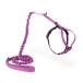 PetSafe( домашнее животное safe ) легкий walk кошка для Harness & банджи Lead прогулка для .. трудно безопасность проект [da стойка rose M размер ]