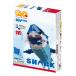  LaQ (LaQ) морской world (MarineWorld) Shark 