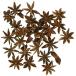 ��n�_�� �h���C�t�����[ �X�^�[�A�j�X �i�`������ (35g����) ��3.0cm DO021020-000
