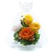  искусство four season * для домашних животных ... цветок Angel консервированный цветок ( orange )